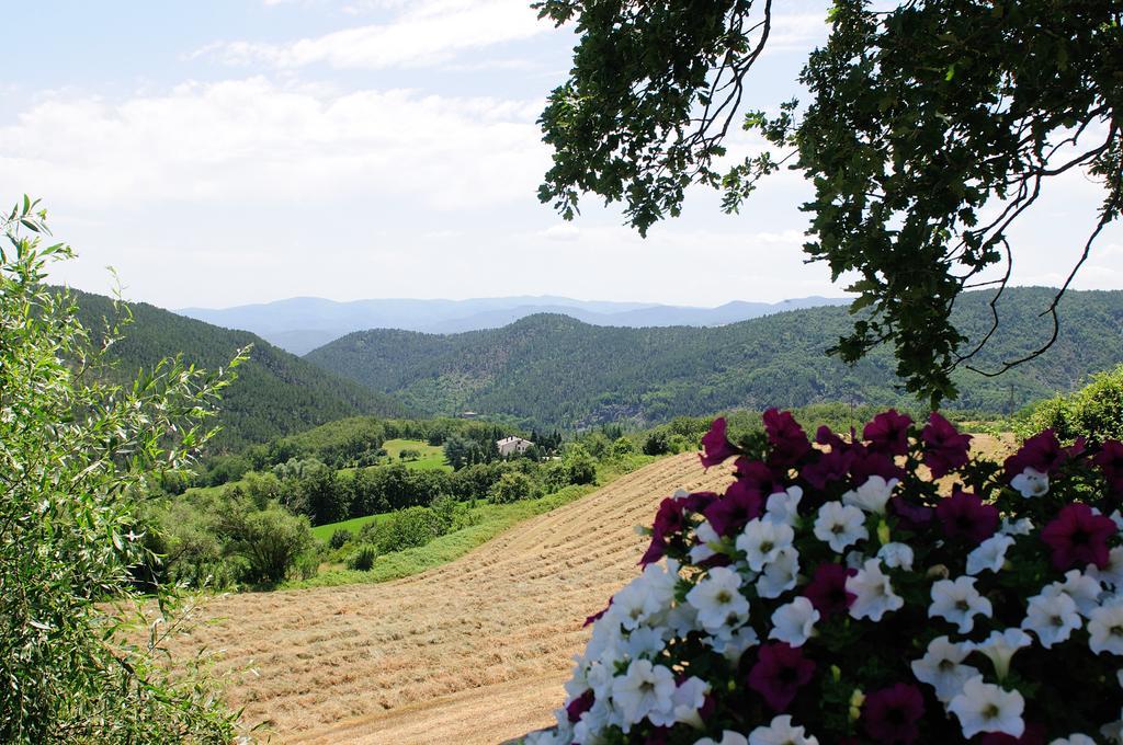 Locanda Del Viandante B&B Ангиари Екстериор снимка